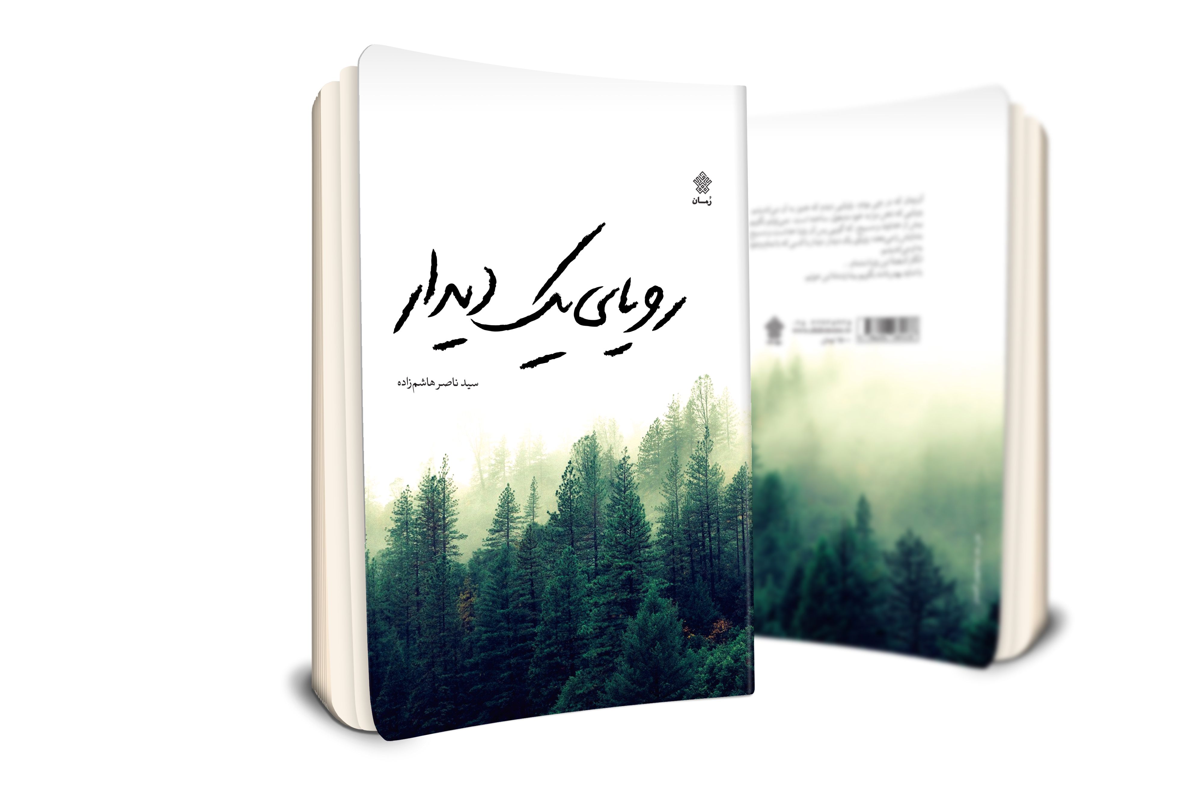 «رویای یک دیدار» جدیدترین رمان سیدناصر هاشم‌زاده منتشر شد